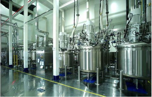 探訪蜂巢能源工廠 揭秘短刀電池生產的三大核心秘籍